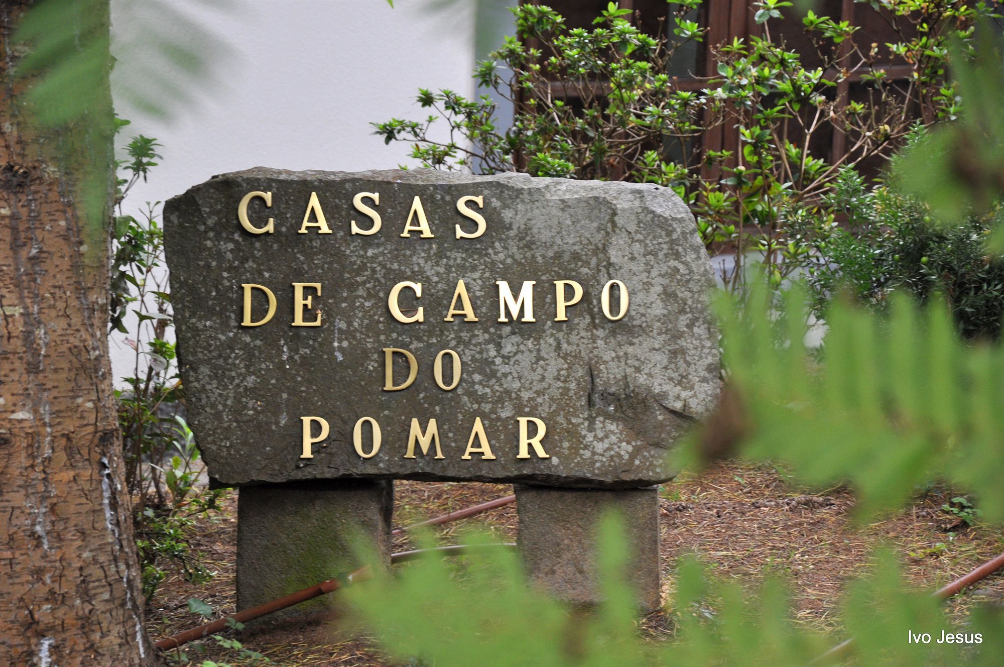 Casas De Campo Do Pomar B&B - Self Check-In Сантана Екстер'єр фото